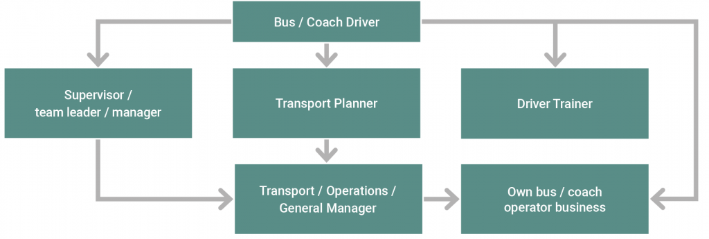 Bus or coach driver career progression options flow chart